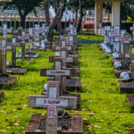 The Latest Statistics on Final Expense Insurance for United States Veterans